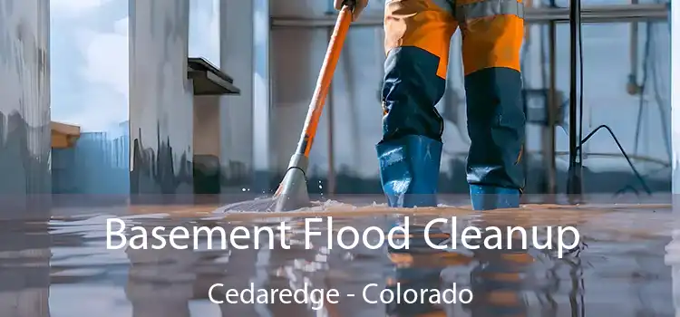 Basement Flood Cleanup Cedaredge - Colorado