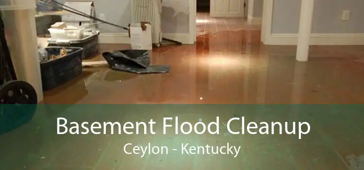 Basement Flood Cleanup Ceylon - Kentucky