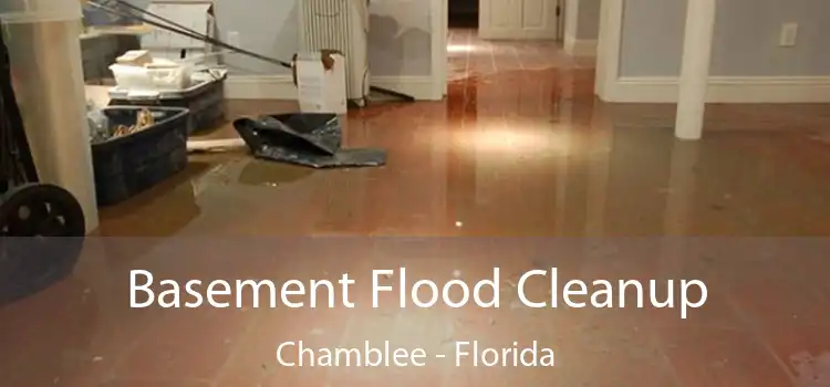 Basement Flood Cleanup Chamblee - Florida