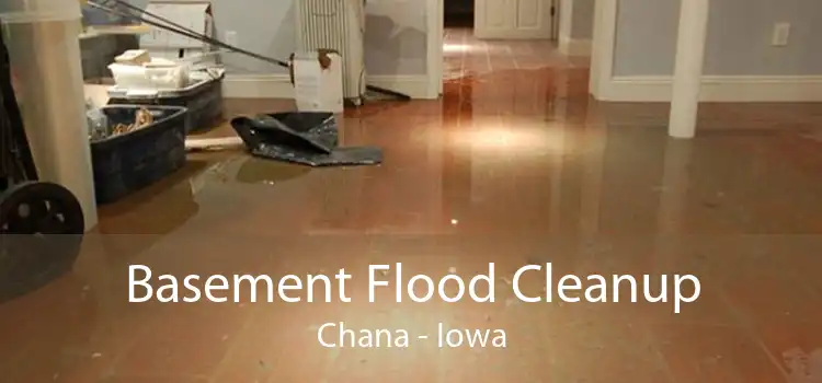 Basement Flood Cleanup Chana - Iowa
