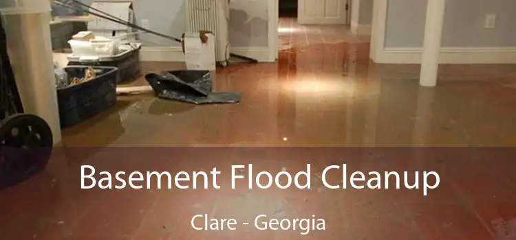 Basement Flood Cleanup Clare - Georgia