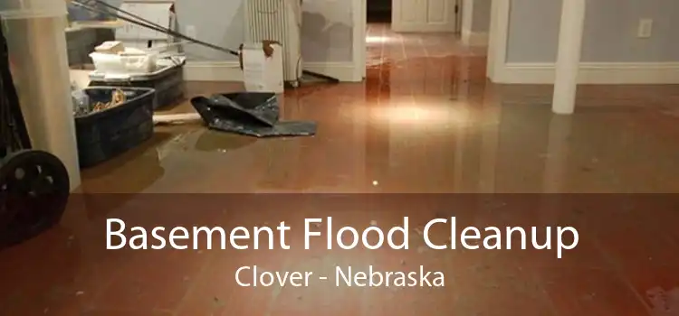 Basement Flood Cleanup Clover - Nebraska