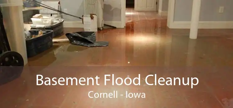 Basement Flood Cleanup Cornell - Iowa