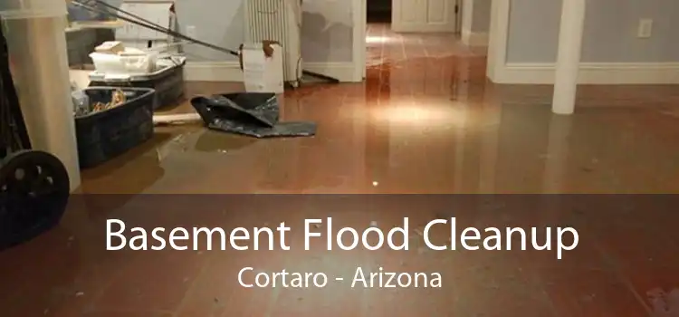 Basement Flood Cleanup Cortaro - Arizona