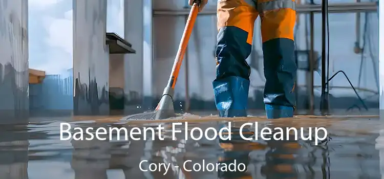 Basement Flood Cleanup Cory - Colorado