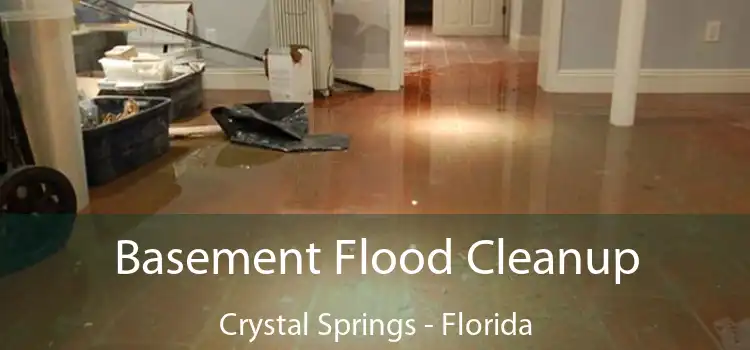 Basement Flood Cleanup Crystal Springs - Florida