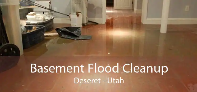 Basement Flood Cleanup Deseret - Utah