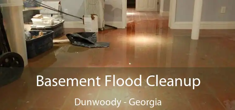 Basement Flood Cleanup Dunwoody - Georgia