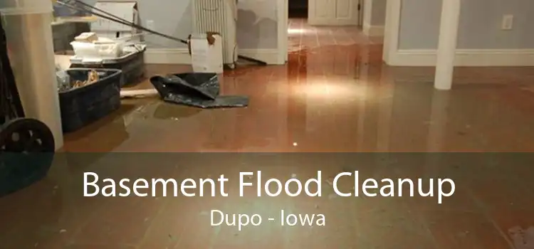 Basement Flood Cleanup Dupo - Iowa