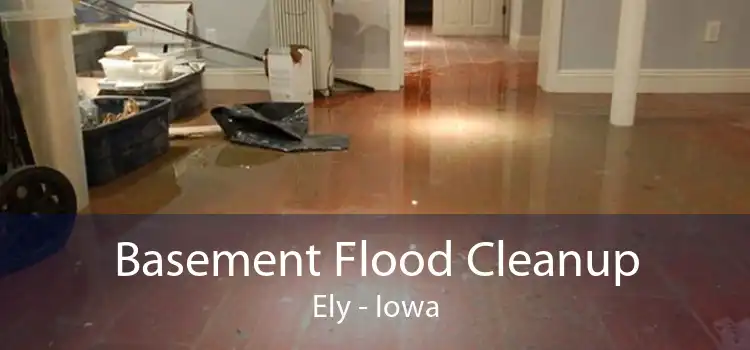 Basement Flood Cleanup Ely - Iowa