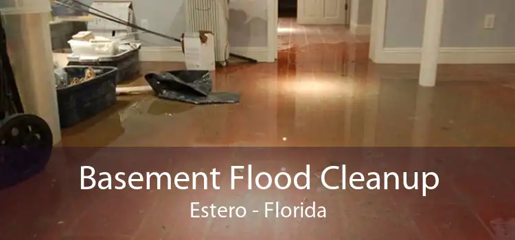 Basement Flood Cleanup Estero - Florida