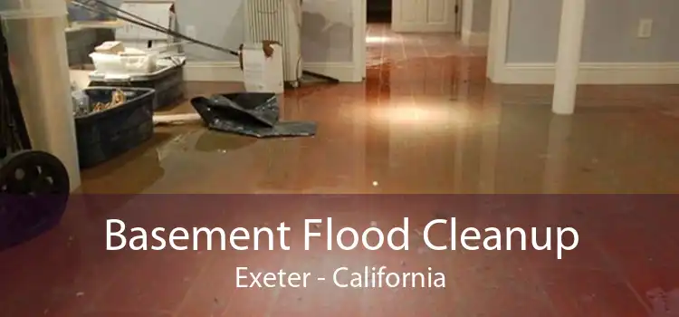 Basement Flood Cleanup Exeter - California