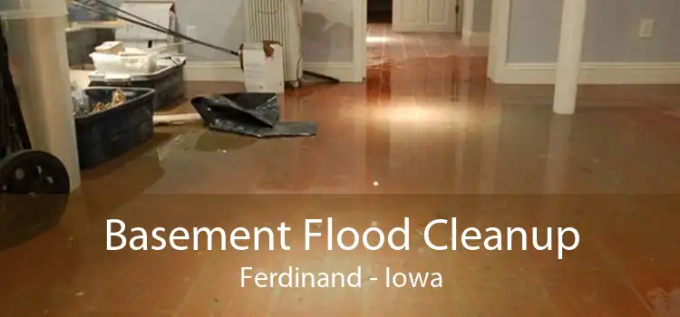 Basement Flood Cleanup Ferdinand - Iowa