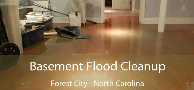 Basement Flood Cleanup Forest City - North Carolina