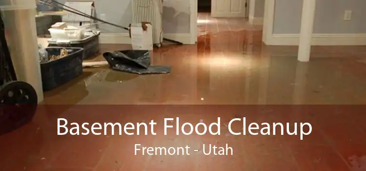 Basement Flood Cleanup Fremont - Utah
