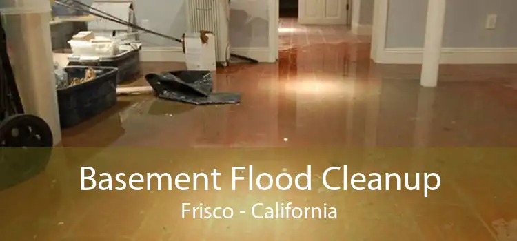 Basement Flood Cleanup Frisco - California