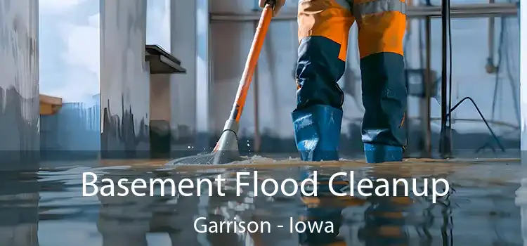 Basement Flood Cleanup Garrison - Iowa