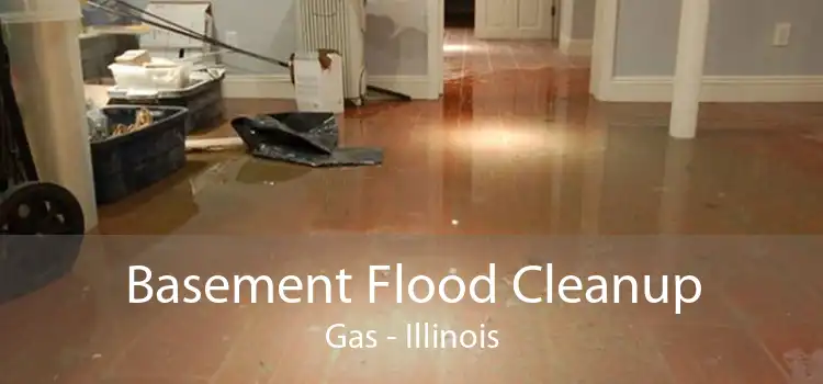 Basement Flood Cleanup Gas - Illinois