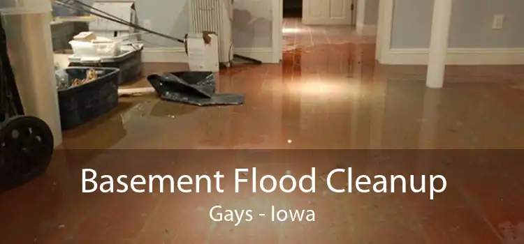 Basement Flood Cleanup Gays - Iowa