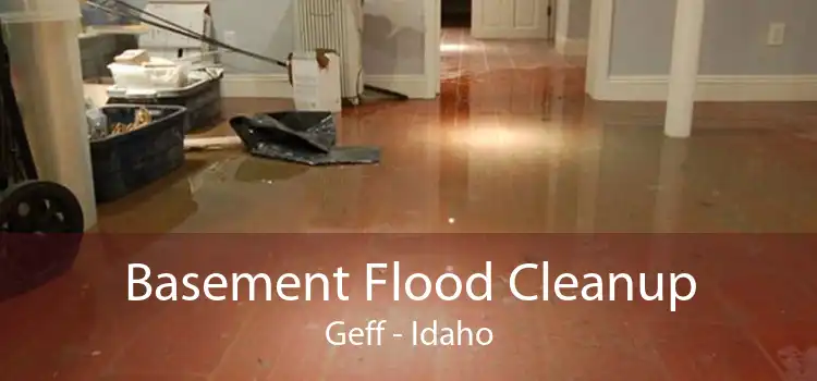 Basement Flood Cleanup Geff - Idaho