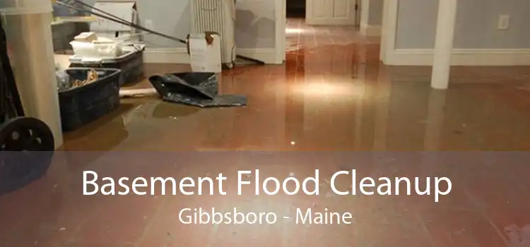 Basement Flood Cleanup Gibbsboro - Maine