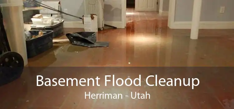 Basement Flood Cleanup Herriman - Utah