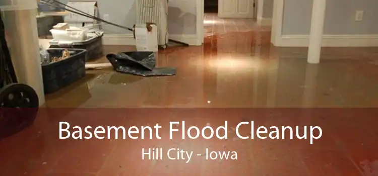 Basement Flood Cleanup Hill City - Iowa