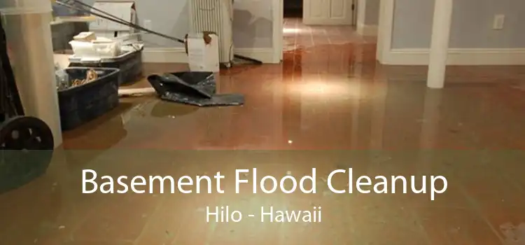 Basement Flood Cleanup Hilo - Hawaii