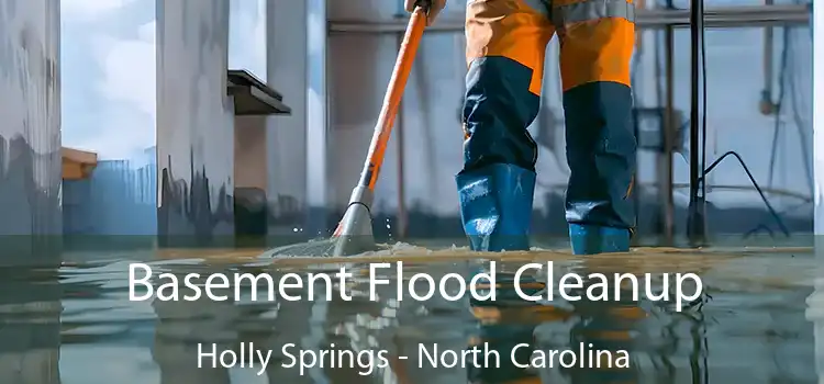 Basement Flood Cleanup Holly Springs - North Carolina