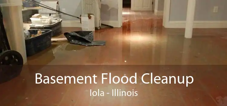 Basement Flood Cleanup Iola - Illinois