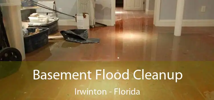 Basement Flood Cleanup Irwinton - Florida