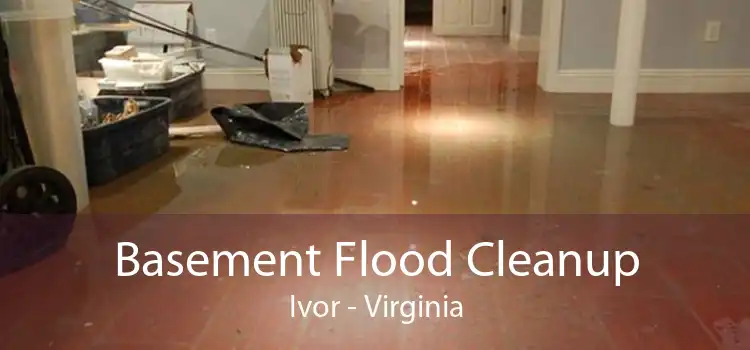 Basement Flood Cleanup Ivor - Virginia