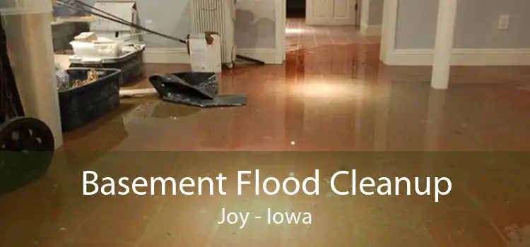 Basement Flood Cleanup Joy - Iowa