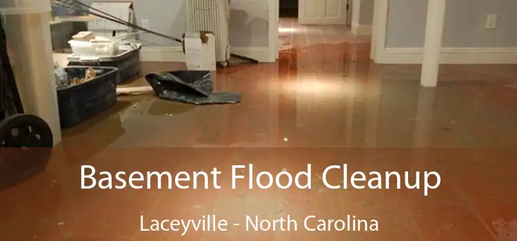 Basement Flood Cleanup Laceyville - North Carolina