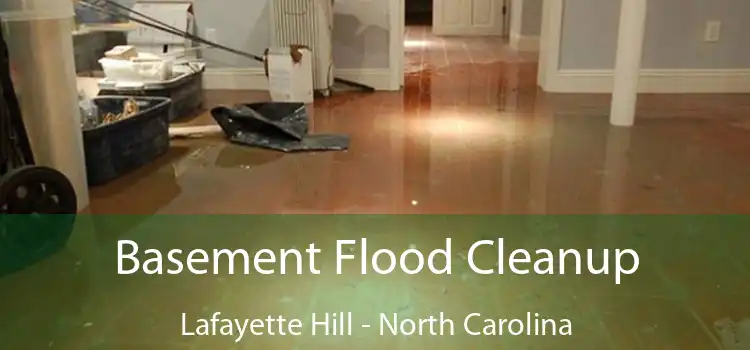 Basement Flood Cleanup Lafayette Hill - North Carolina