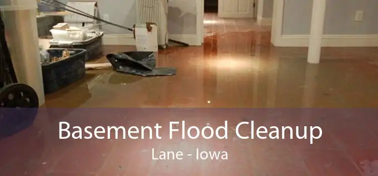 Basement Flood Cleanup Lane - Iowa