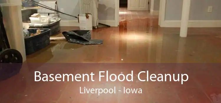 Basement Flood Cleanup Liverpool - Iowa