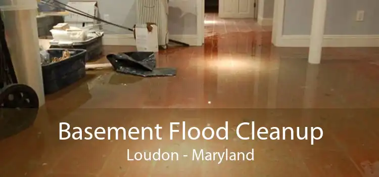 Basement Flood Cleanup Loudon - Maryland