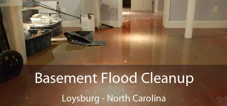 Basement Flood Cleanup Loysburg - North Carolina