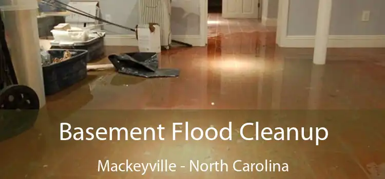 Basement Flood Cleanup Mackeyville - North Carolina