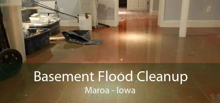 Basement Flood Cleanup Maroa - Iowa