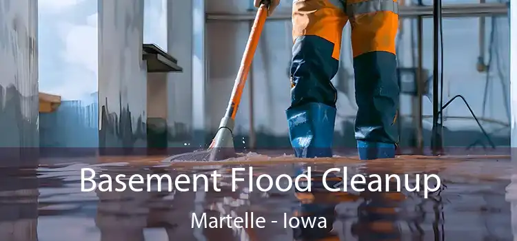 Basement Flood Cleanup Martelle - Iowa