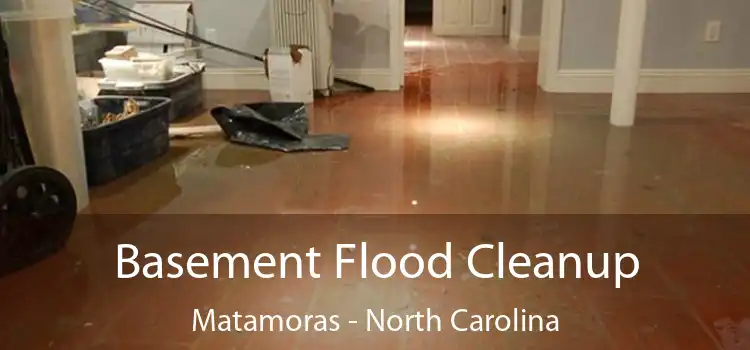 Basement Flood Cleanup Matamoras - North Carolina