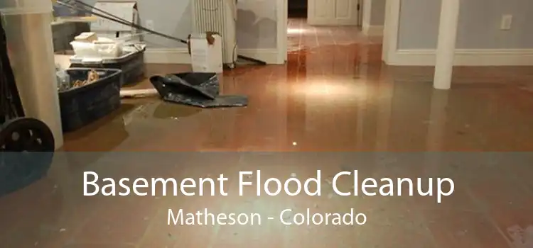 Basement Flood Cleanup Matheson - Colorado
