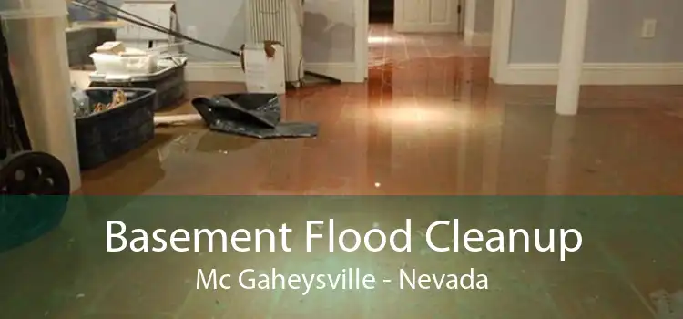 Basement Flood Cleanup Mc Gaheysville - Nevada