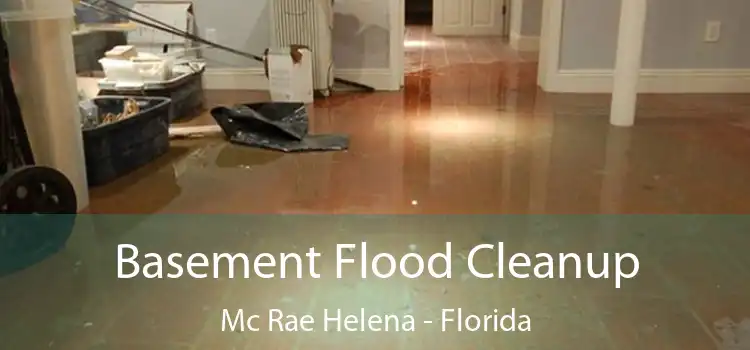 Basement Flood Cleanup Mc Rae Helena - Florida