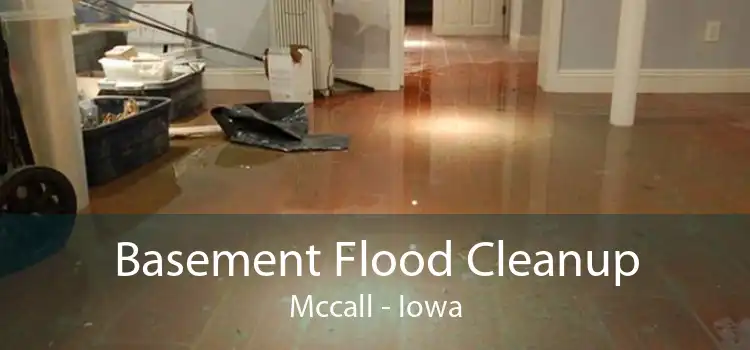 Basement Flood Cleanup Mccall - Iowa