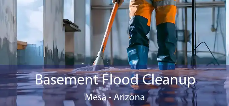 Basement Flood Cleanup Mesa - Arizona