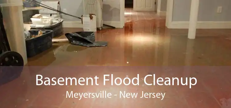 Basement Flood Cleanup Meyersville - New Jersey