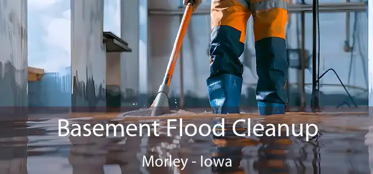 Basement Flood Cleanup Morley - Iowa